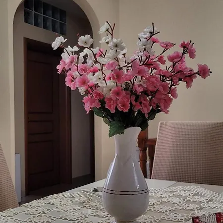 Guest house Makos Gjirokaster