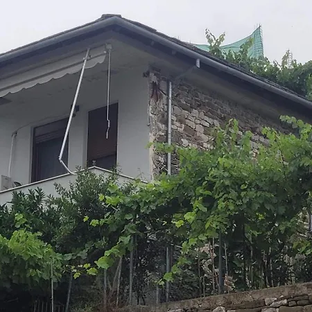 Makos Gjirokaster